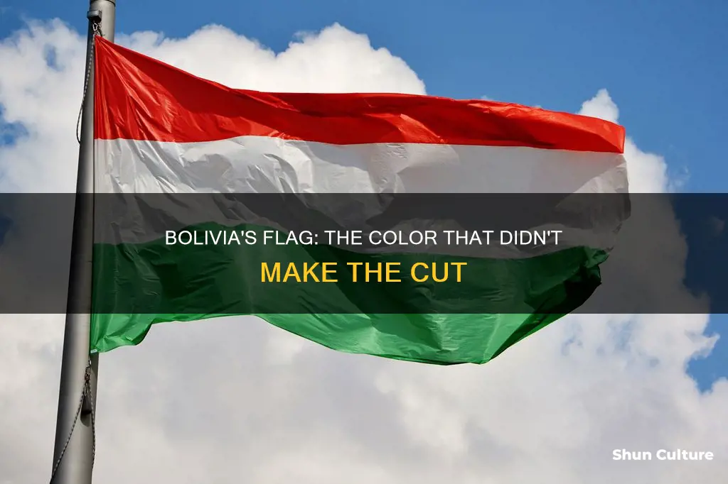 which colour is not depicted on the flag of bolivia