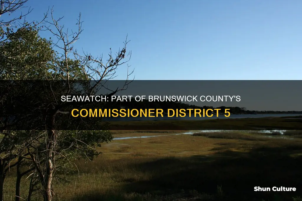 which commissioner district in brunswick county nc is seawatch