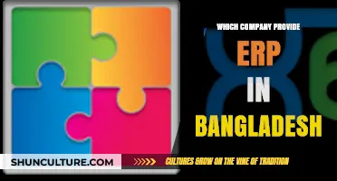 Top ERP Solution Providers in Bangladesh: A Comprehensive Guide