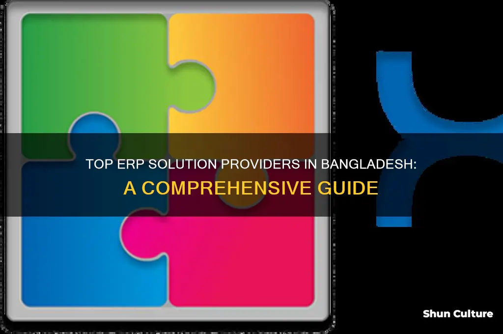 which company provide erp in bangladesh