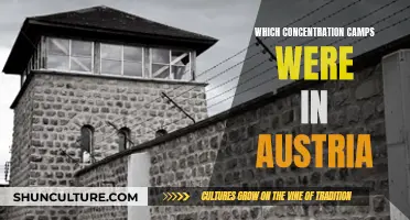 Concentration Camps in Austria: A Dark History