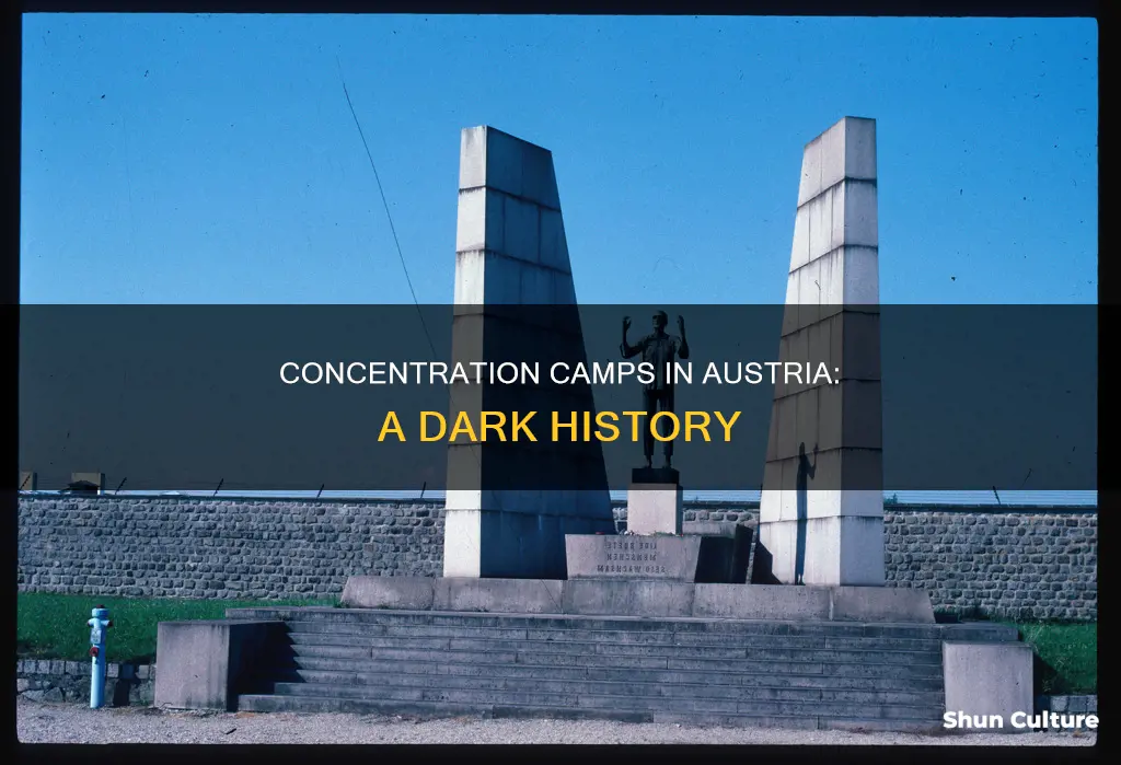 which concentration camps were in austria