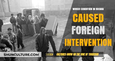 Bosnia's Ethnic Tensions and Humanitarian Crisis Triggered Foreign Intervention