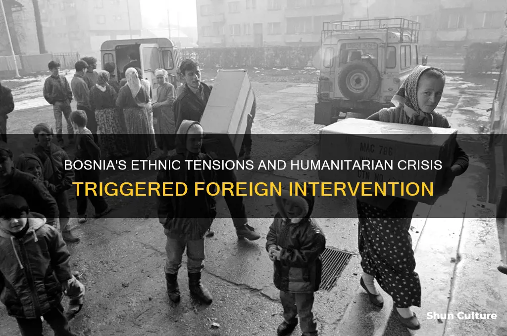 which condition in bosnia caused foreign intervention