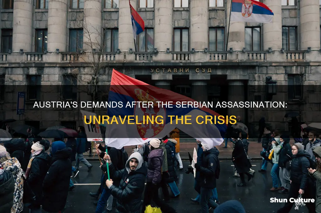 which conditions did austria demand of serbia after the assassination