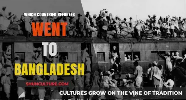 Refugee Crisis: Countries of Origin for Bangladesh's Refugee Population
