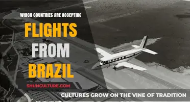 Travel Updates: Countries Currently Accepting Flights from Brazil in 2023