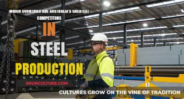 Who Are Australia's Top Steel Competitors?