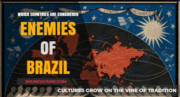 Brazil's Global Rivalries: Unveiling Nations Perceived as Adversaries