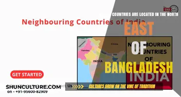 Exploring Bangladesh's Northeastern Neighbors: Countries Bordering Its Northeast Region