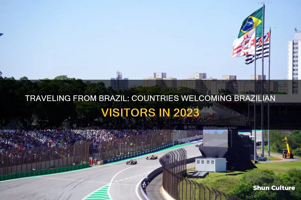 which countries are open to brazil