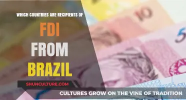 Brazil's Global Investment Reach: Top FDI Recipient Countries Revealed