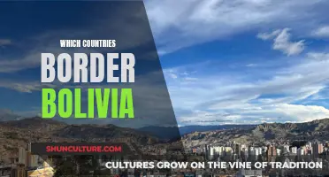 Exploring Bolivia's Bordering Nations: Who Are Its Neighbors?