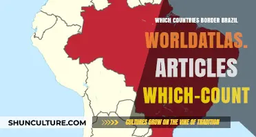 Exploring Brazil's Borders: Neighboring Countries and Geographic Insights