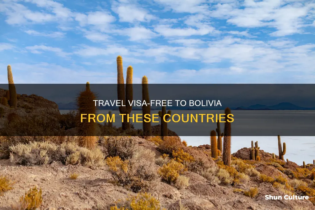 which countries can travel to bolivia visa free