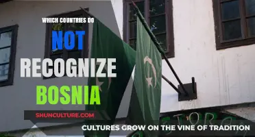 Bosnia's Unrecognized Status: Which Countries Still Refuse to Acknowledge Its Sovereignty?