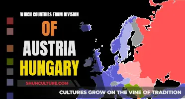 The Aftermath of the Treaty of Versailles: Dividing Austria-Hungary