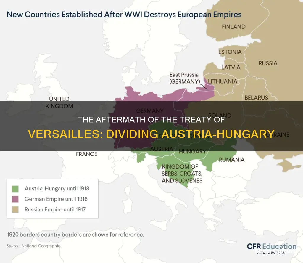 which countries from division of austria hungary