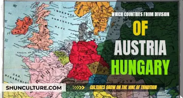 The Many Nations Born from Austria-Hungary's Division