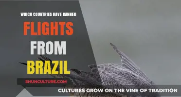 Global Travel Restrictions: Which Countries Have Banned Flights from Brazil?