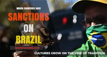 Global Sanctions on Brazil: Which Countries Are Imposing Restrictions?