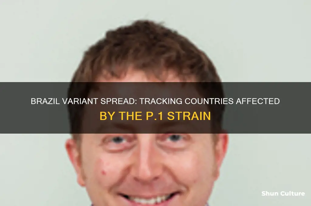 which countries have the brazil variant