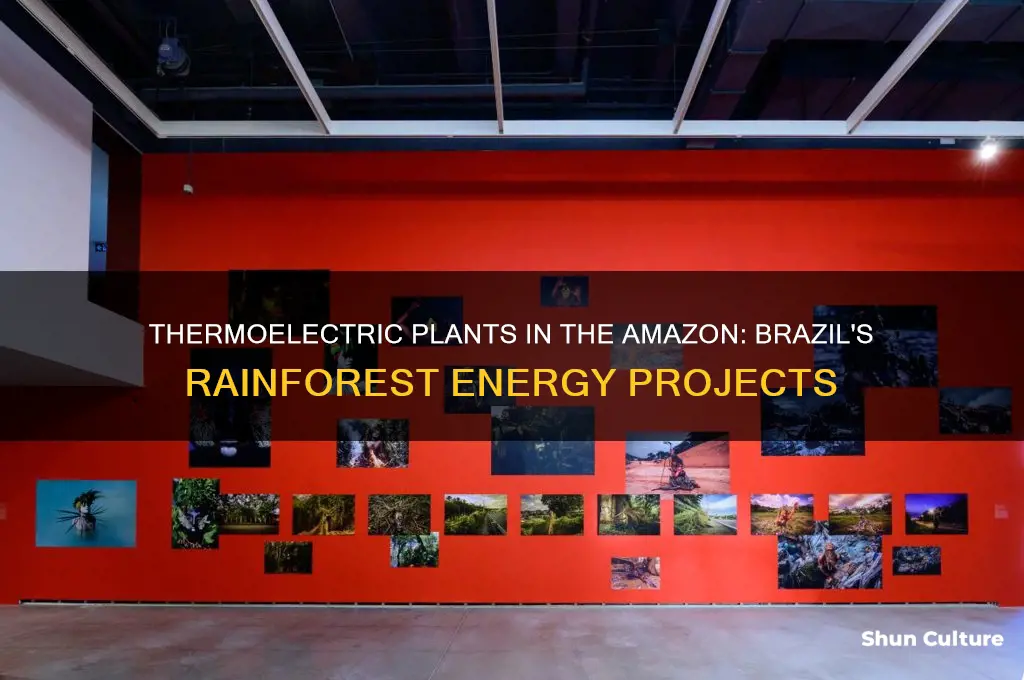 which countries have thermoelectric in the amazon brazil rainforest