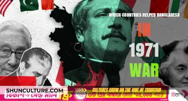 International Allies: Countries Supporting Bangladesh's 1971 Liberation War