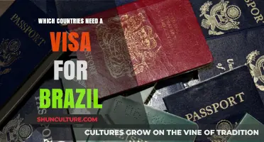 Visa Requirements for Brazil: Which Countries Need to Apply?