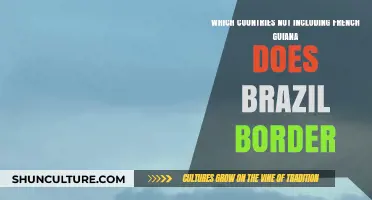 Brazil's Bordering Nations: Exploring Neighboring Countries Beyond French Guiana