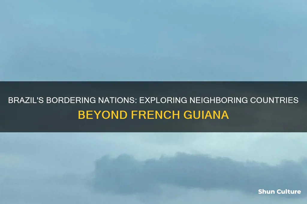 which countries not including french guiana does brazil border