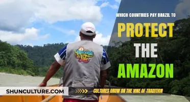 Global Funding for Brazil's Amazon Conservation: Who's Contributing?
