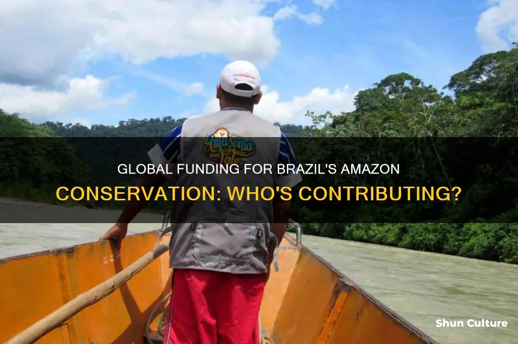 which countries pay brazil to protect the amazon