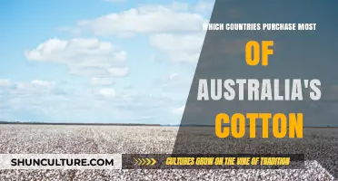 Australia's Cotton Buyers: Who Are the Top Importers?