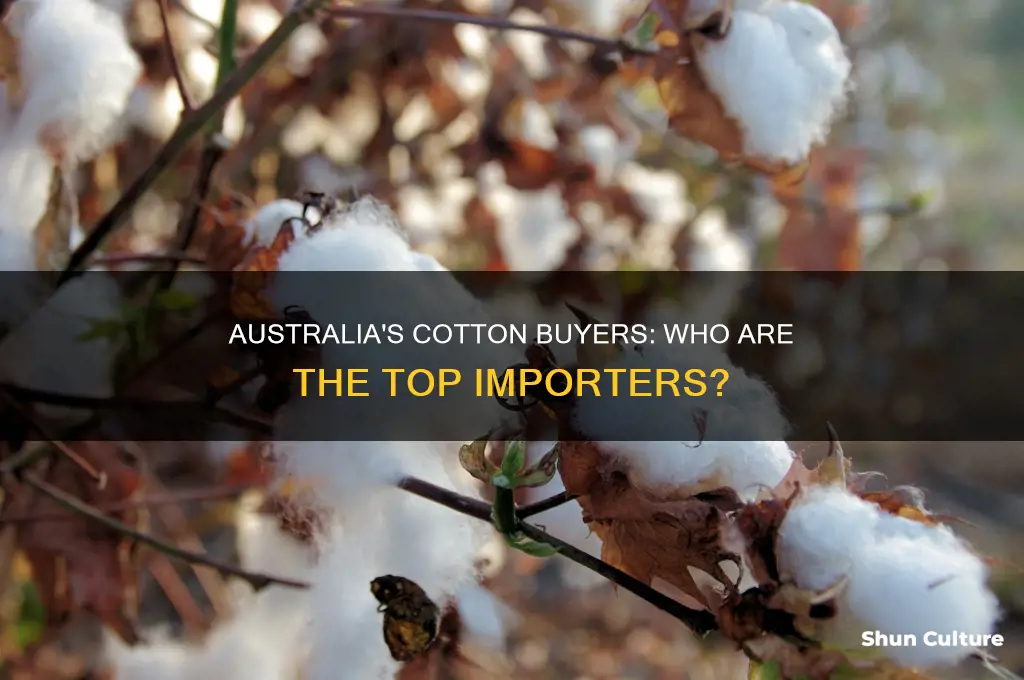 which countries purchase most of australia
