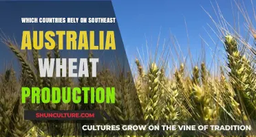 Southeast Australia Wheat: Global Dependence and Trade