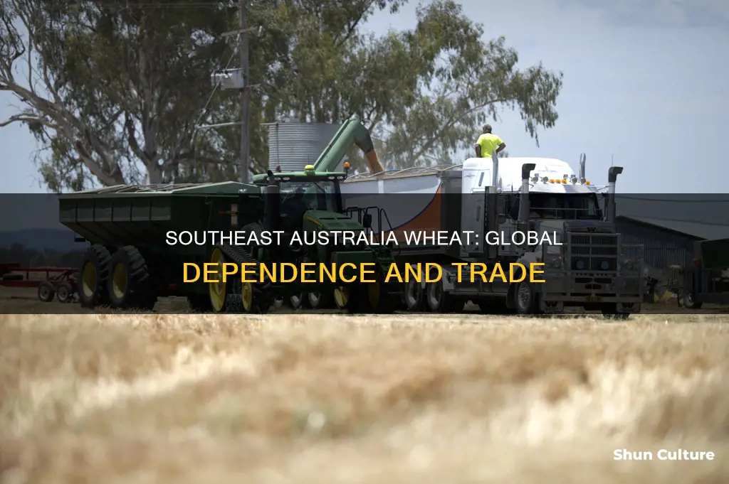 which countries rely on southeast australia wheat production