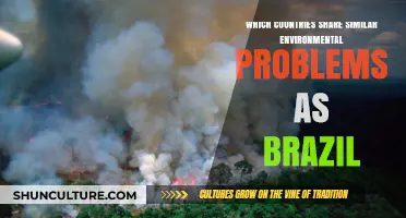Brazil's Environmental Challenges: Countries Facing Similar Ecological Struggles