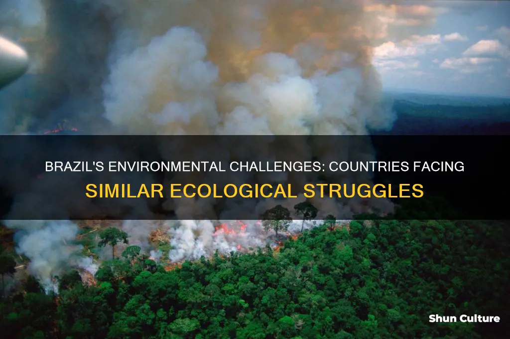 which countries share similar environmental problems as brazil