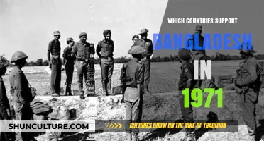 1971 Liberation War Allies: Countries That Supported Bangladesh's Independence