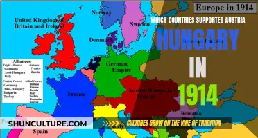 Allies of Austria-Hungary: Who Supported the Central Powers in 1914?