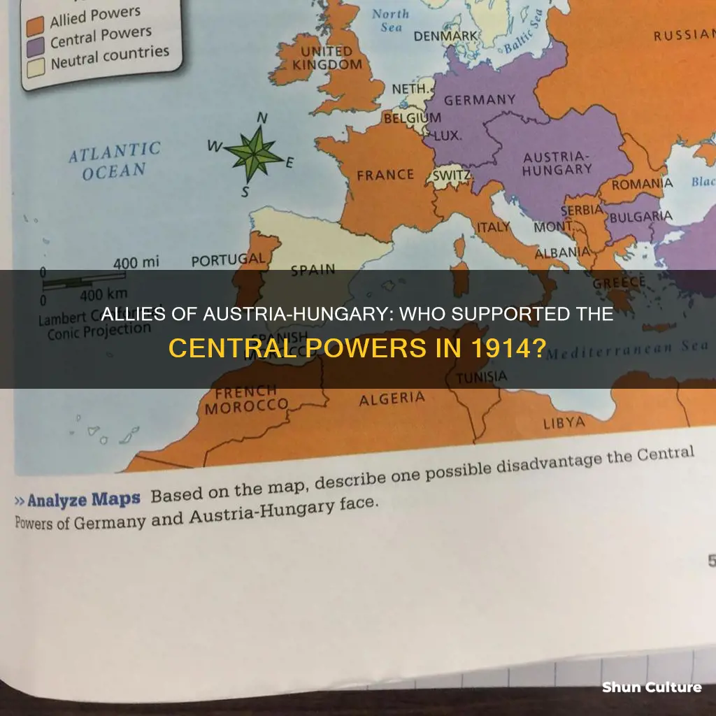 which countries supported austria hungary in 1914