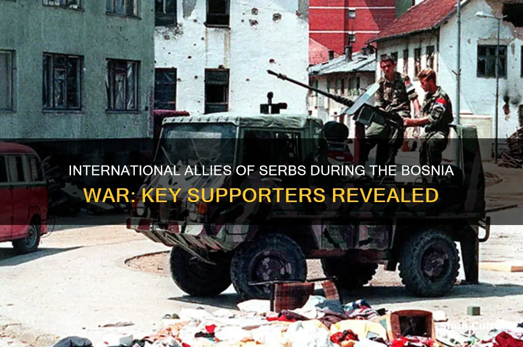which countries supported serbs in the bosnia war