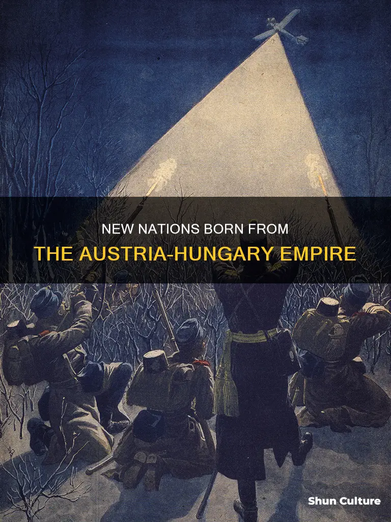 which countries were formed from the austria-hungary empire