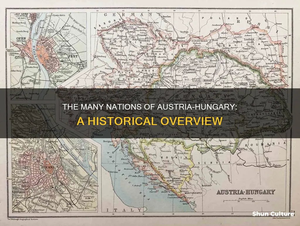 which countries were in austria hungary