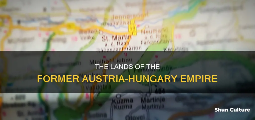 which countries were in austria hungary