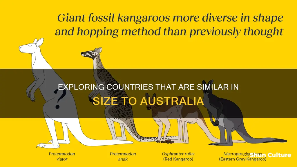 which country almost same size australia