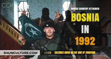 The 1992 Bosnian War: Which Country Launched the Devastating Attack?