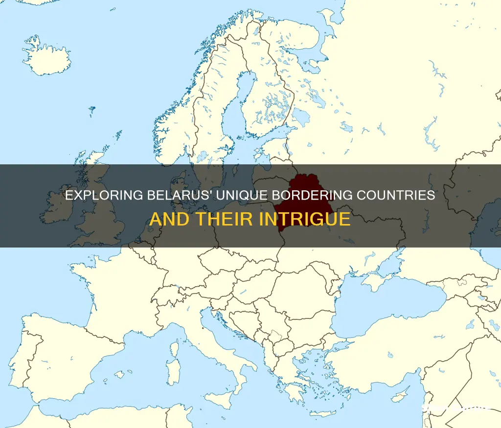 which country borders belarus lithuania estonia and russia