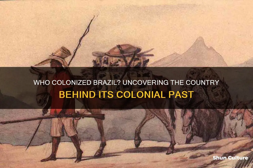 which country colinized brazil